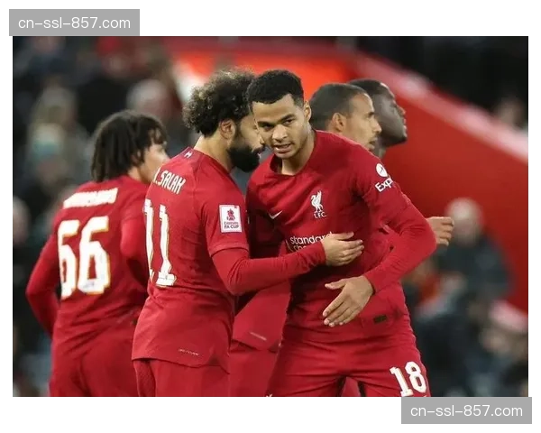 利物浦将目光投向最后一次重大转会机会，加克波离队计划曝光